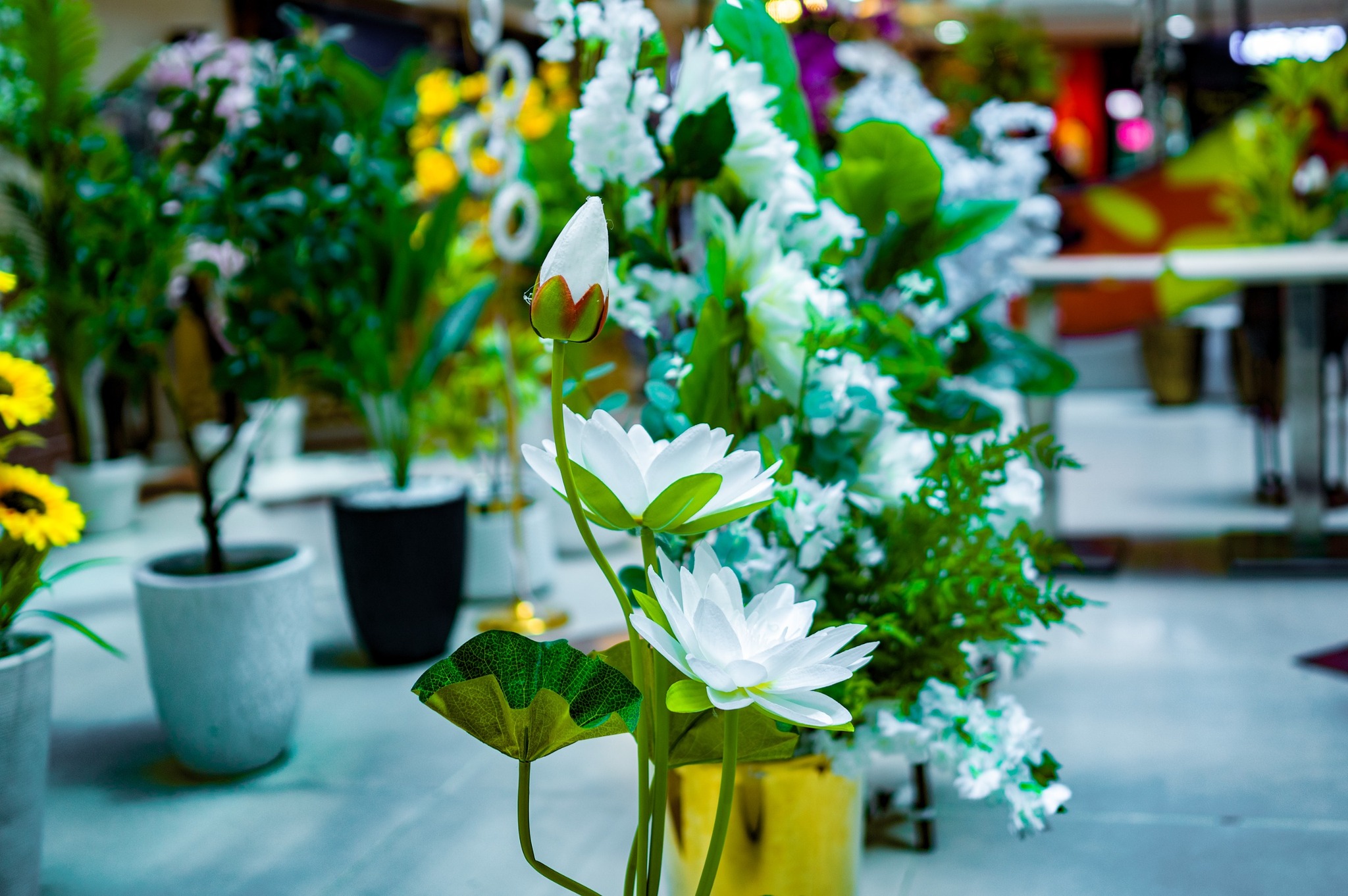 Decor Events Shine Advertising Agency 22 — Shine Advertising Agency