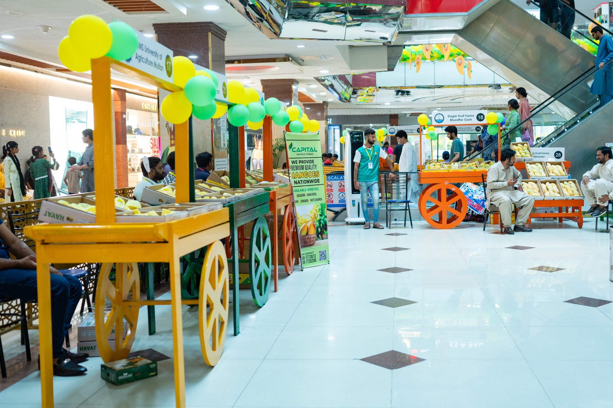 Decor Events Shine Advertising Agency 19 — Shine Advertising Agency